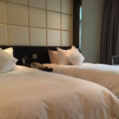 The Luxe Manor Hotel комната для гостей