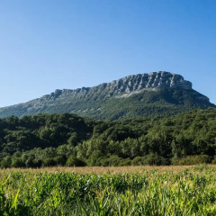 Отель Casa Rural Martxoenea Landetxea