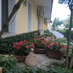 Отель Terme Belvedere Италия, Абано-Терме - отзывы, цены и фото номеров - забронировать отель Terme Belvedere онлайн фото 3