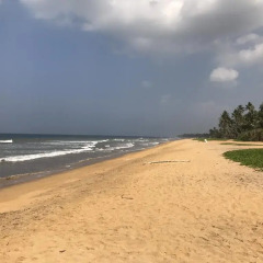 Отель Palm Beach Villa Шри-Ланка, Ваддува - отзывы, цены и фото номеров - забронировать отель Palm Beach Villa онлайн пляж