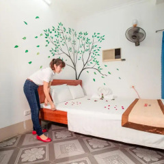 Halong Party Hostel Стандартный номер с различными типами кроватей фото 3