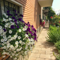 Отель B&B La Falconera