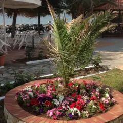 Отель Porto Matina фото 2