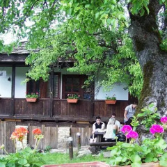 Отель Dzhelepova Guest House- Pool Access Болгария, Боженци - отзывы, цены и фото номеров - забронировать отель Dzhelepova Guest House- Pool Access онлайн фото 10
