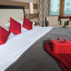 Starling Hotel Geneva 4* Номер Бизнес с различными типами кроватей