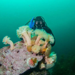 Отель Tjeldsundbrua Maritim развлечения