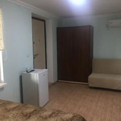 Гостиница Guest house na Kollektivnoi 121 удобства в номере