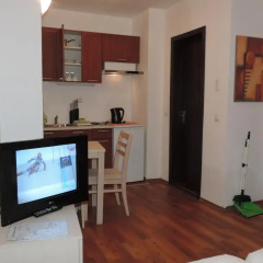 Апартаменты Gondola Apartments & Suites Студия с различными типами кроватей фото 9