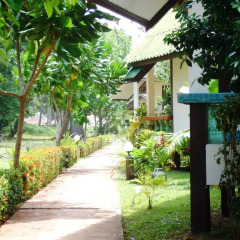 Отель Lanta Palm Beach Resort Таиланд, Ланта - отзывы, цены и фото номеров - забронировать отель Lanta Palm Beach Resort онлайн фото 6