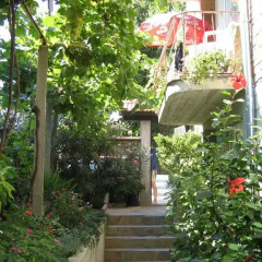 Отель Guest House Sokratovi Болгария, Аврен - отзывы, цены и фото номеров - забронировать отель Guest House Sokratovi онлайн фото 4
