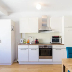 Апартаменты Vienna Stay Apartments Tabor 1020 Вена в номере фото 2