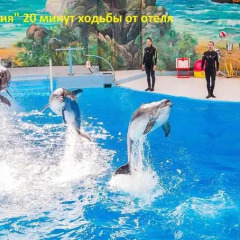 Отель Gulya Сочи бассейн фото 2