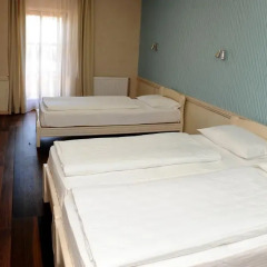 Hotel Centar Balasevic 3* Стандартный номер с различными типами кроватей фото 6