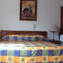 Отель Vallarta Jr Suites Студия с различными типами кроватей фото 12