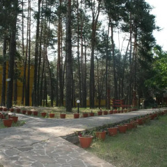 Гостиница Buymerivka Pine Spa-Resort Украина, Ахтырка - отзывы, цены и фото номеров - забронировать гостиницу Buymerivka Pine Spa-Resort онлайн