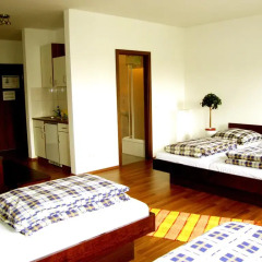 Sleepy Lion Hostel, Youth Hotel & Apartments Leipzig 2* Апартаменты с различными типами кроватей