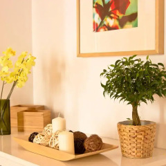 Отель Apartamentos Madrid Студия с различными типами кроватей фото 5
