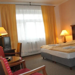 Hotel Svornost 3* Стандартный номер с двуспальной кроватью фото 10