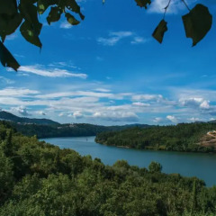 Отель Quinta Vilar e Almarde