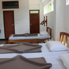 Отель Queens rest inn Номер Делюкс с различными типами кроватей фото 3