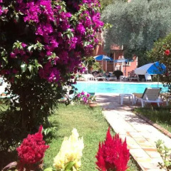 Отель Tropicana Olüdeniz бассейн