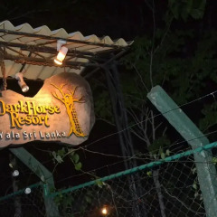 Отель Dark Horse Resort Yala фитнесс-зал