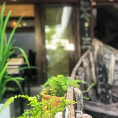 Отель Halcyon House Colombo фото 8
