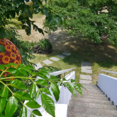 Отель Casa do Pico Португалия, Мадалена - отзывы, цены и фото номеров - забронировать отель Casa do Pico онлайн фото 16