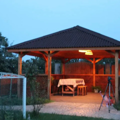 Отель Pid Zelyonym Dakhom Country House Берегово фото 5