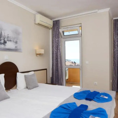 Family Hotel Milev 2* Стандартный номер с различными типами кроватей фото 3