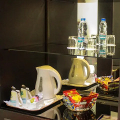 Mayfair Hotel 3* Стандартный номер с разными типами кроватей фото 7