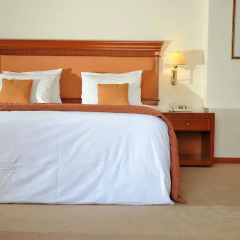 Athens Atrium Hotel and Suites 4* Полулюкс с различными типами кроватей фото 6