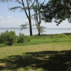 Отель Oasis Eco Camp пляж