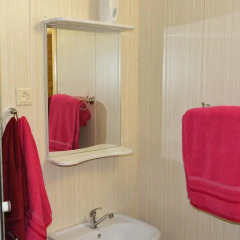 Гостиница Guest house Pine Forest ванная