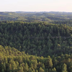 Отель Castell de Guardiola фото 6