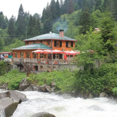 Ayder Avusor Butik Otel Турция, Чамлыхемшин - отзывы, цены и фото номеров - забронировать отель Ayder Avusor Butik Otel онлайн приотельная территория фото 2