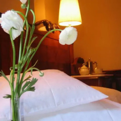 Hotel Vadvirág Panzió 3* Стандартный номер с двуспальной кроватью фото 6