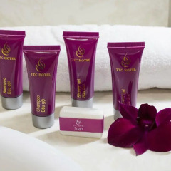 TTC Hotel Deluxe Saigon 3* Номер Делюкс с различными типами кроватей фото 16