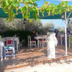 Отель Butterfly Guest House Фаралья помещение для мероприятий