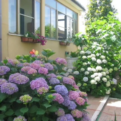 Отель B&B A Casa Di Catia Стандартный номер фото 2