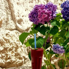 Отель Tashan Alacati Чешме фото 3