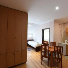 Апартаменты Apartments & Accommodation Stojic Нови Сад в номере