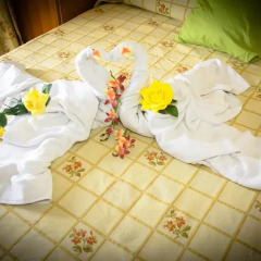 Отель Hostal Malia в номере