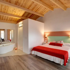 Отель La Freixera 4* Номер Делюкс с различными типами кроватей