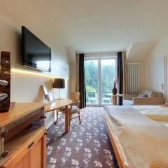 Отель Akzent Waldhotel Rheingau 4* Номер Комфорт с различными типами кроватей фото 9