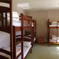 Citrus Hostel Кровать в общем номере с двухъярусной кроватью фото 8