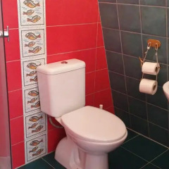 Отель Beltes Street Guest House ванная фото 2