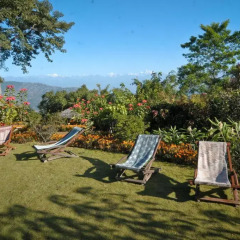 Отель Dhulikhel Mountain Resort Непал, Дхуликхел - отзывы, цены и фото номеров - забронировать отель Dhulikhel Mountain Resort онлайн бассейн фото 2