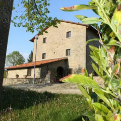 Отель Agriturismo Casa Passerini a Firenze 2* Стандартный номер фото 17