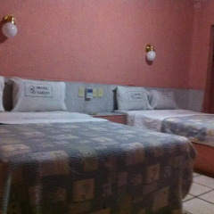 Hotel Gallo Rubio 2* Стандартный номер с 2 отдельными кроватями фото 2